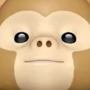 Meet your Posher, Raven